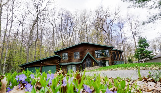 Rib Mountain Cabin