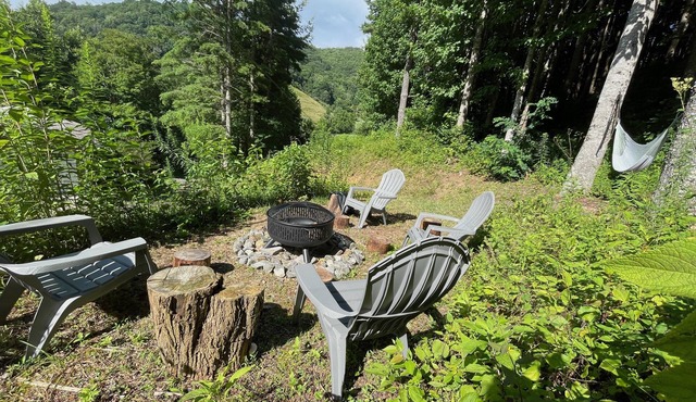 Rippling Creek, Romantic Views & Friendly Visits By Gentle Wildlife. Perfect!