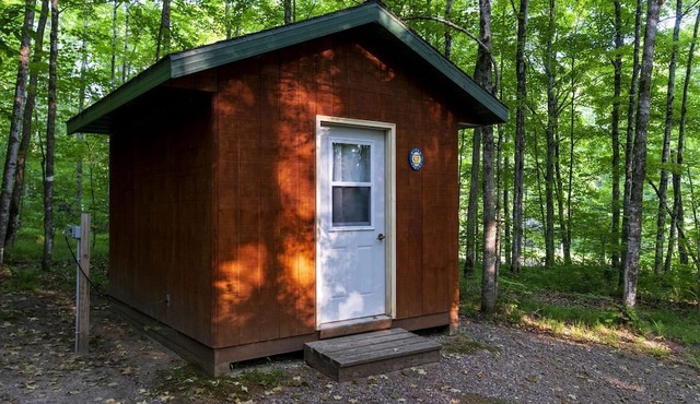 Rustic Cabin Nestled in the Trees for a Unique Outdoor Experience in White Lake, Wisconsin