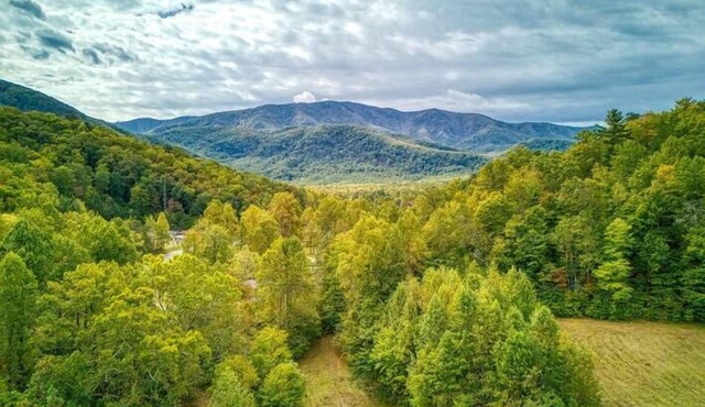 Rustic Retreat-Pickleball Court, Creek, WIFI, Mountain Views, Starting at $79"