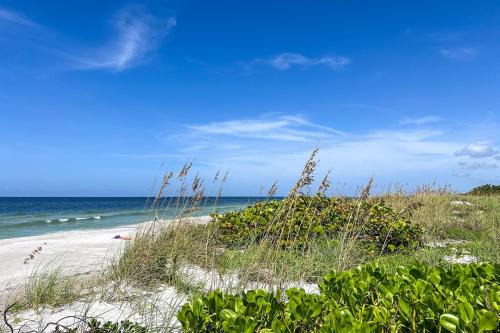 Sandy Toes and Sunny Nose Open Wednesday July 8th!