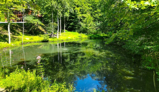 Scenic Solitude | Private Pond, Hot Tub, Game Room