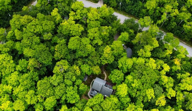 Secluded Scandanavian Cabin In Sister Bay