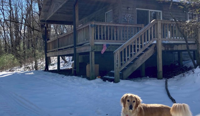 Serene 2-bedroom cabin with AC in charming Brevard