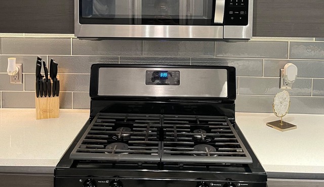 Spacious 1 bedroom Condo Downtown Atlanta