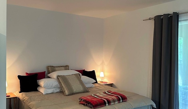 Studio in Lake Leelanau with outside entrance, king bed, & WiFi