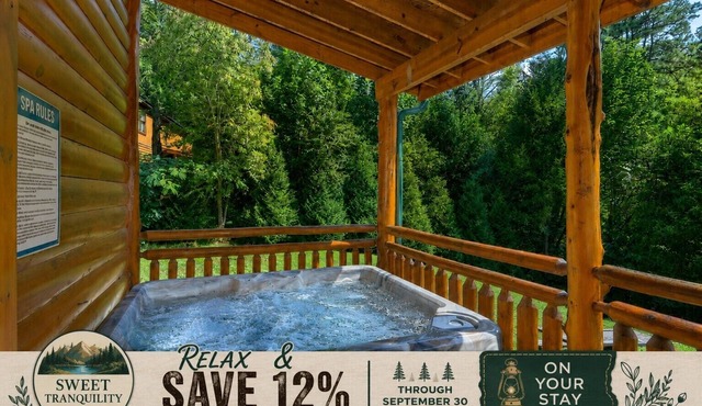 Sweet Tranquility Pool Lodge: Indoor Pool, Theater