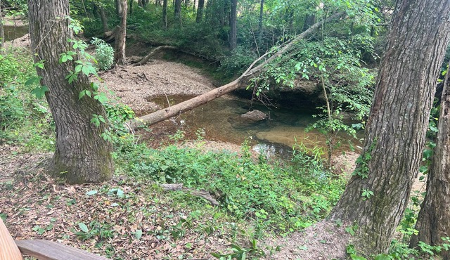 Tentrr Signature Site - Stargazing at Hidden Creek