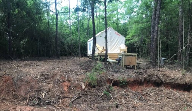 Tentrr State Park Site - Louisiana Bogue Chitto State Park - Bike Trail D - Sing