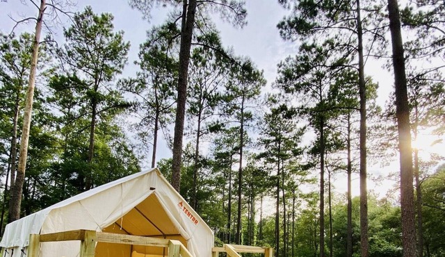 Tentrr State Park Site - Louisiana Bogue Chitto State Park - Gorge Trail O - Sin