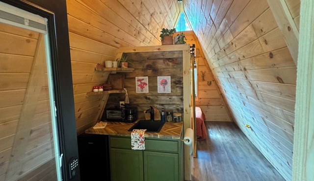 The Naturalists is a peaceful off grid A frame cabin with an outdoor shower.
