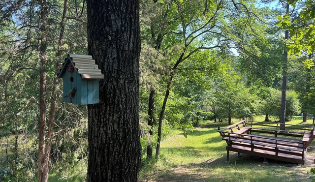 The Pecan at Hamilton Cove ~ Cabin Twenty ~ Lakefront ~ Pet Friendly