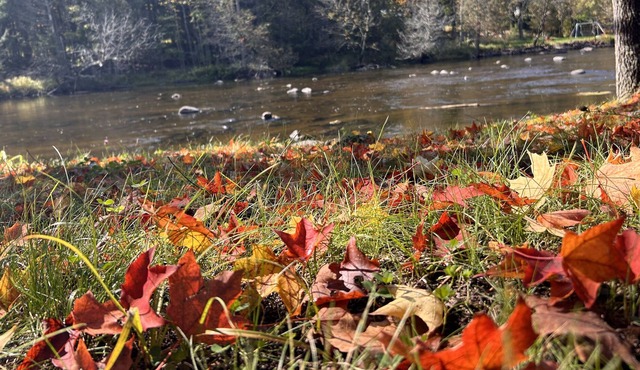 The Rivers Edge Cottage! ATV-UTV-Snowmobiling right out your front door!