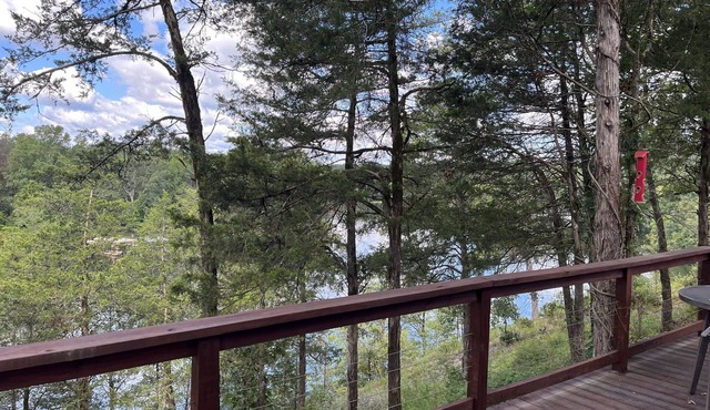 The Sycamore at Hamilton Cove ~ Cabin Twelve ~ Amazing Lake View