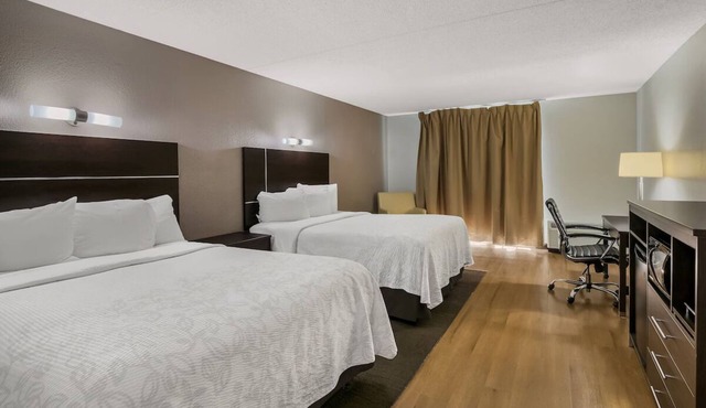 Three Comfortable Rooms w/Free Hot Breakfast Daily | Free Parking