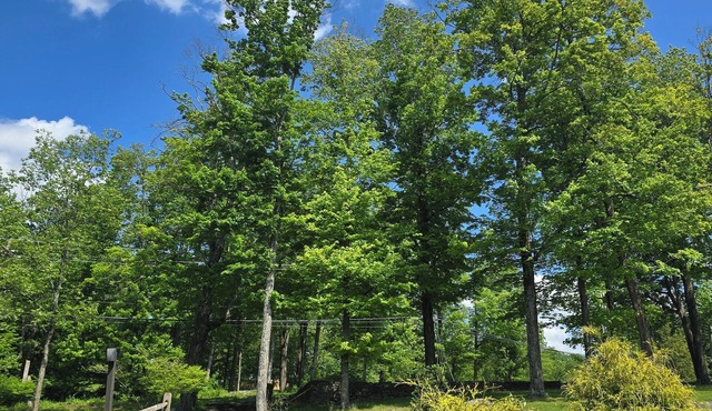 very beautiful, spacious,peaceful Resort with WiFi, AC in Welcoming Clermont.