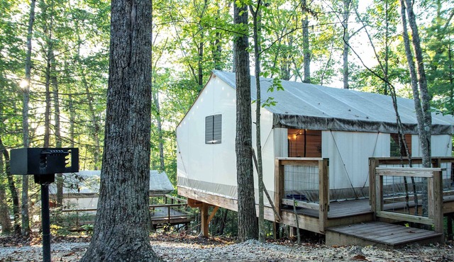 Vireo's Nest- Unique Glamping Tent in the Gorge️