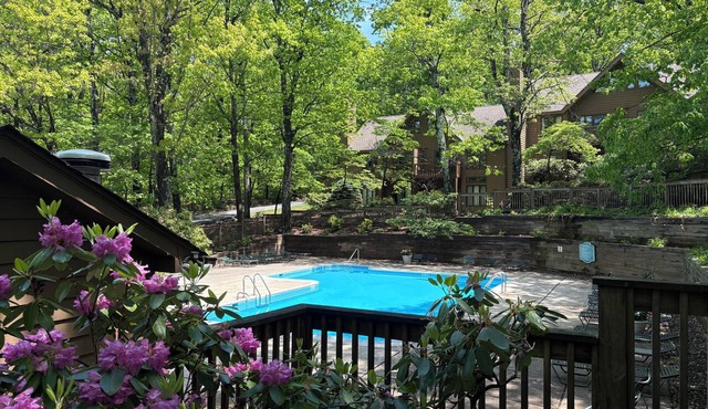 Walk to Slopes, Village & Market. Pool, Dog-Friendly, Bonus Kids Room, Fireplace