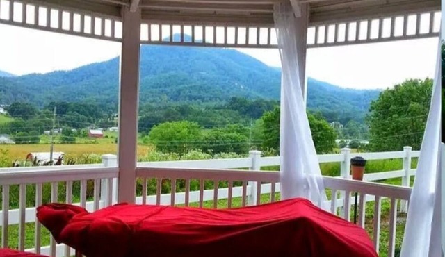 Wild Mountain Lodge