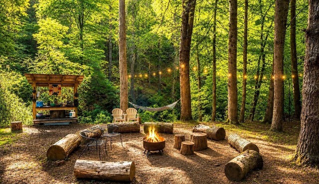 Wonderful Tree House Getaway on the Toccoa River, for Glamping in Suches, Georgia