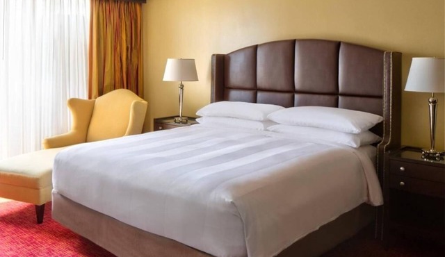Wyndham Atlanta Buckhead Hotel & Conference Center | King | Pet Friendly