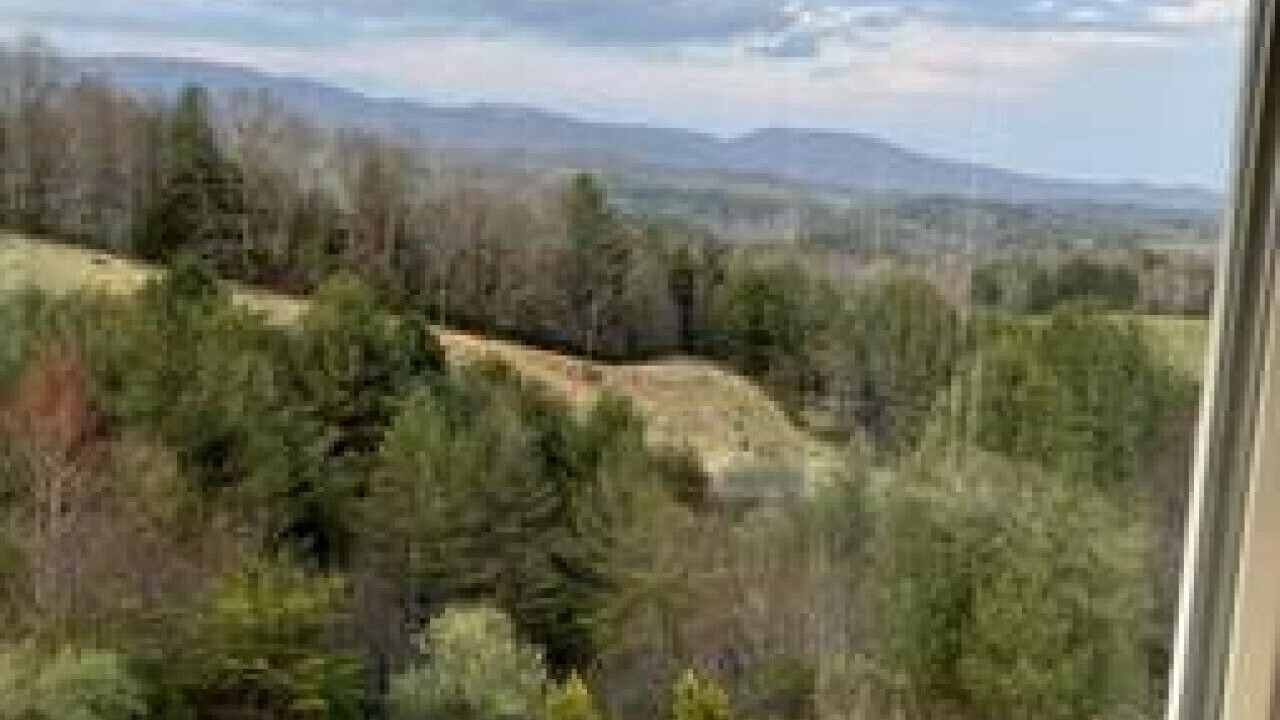 Photo of Others in Mouth of Wilson