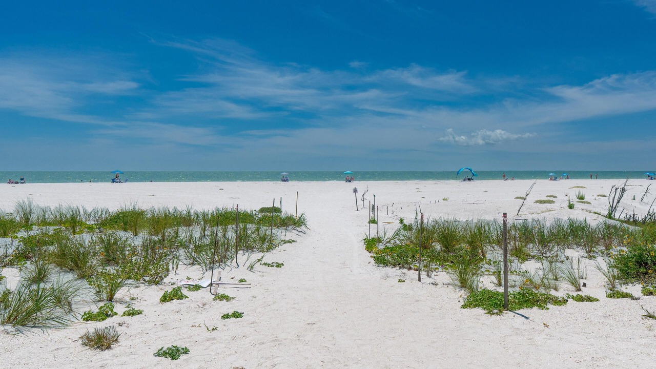 Photo of Others in Fort Myers Beach