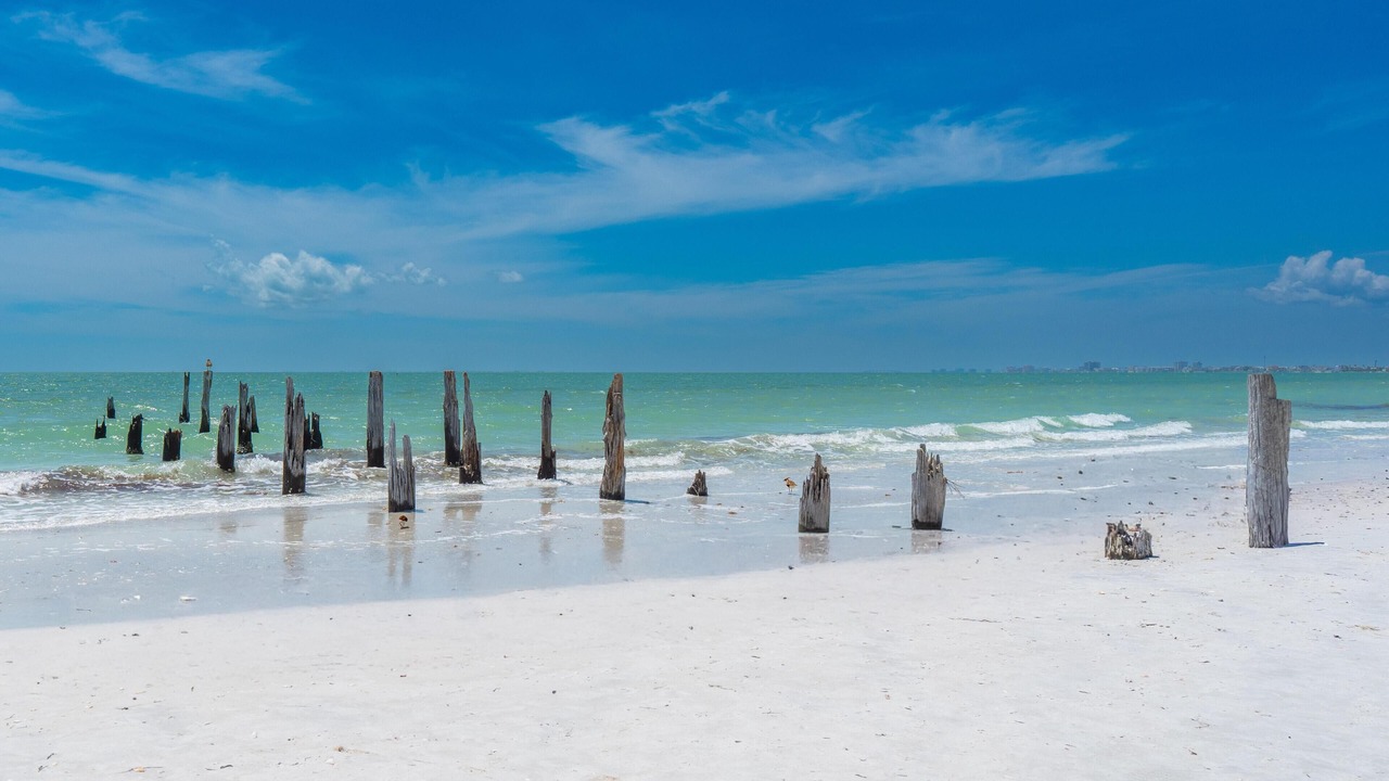 Photo of Others in Fort Myers Beach