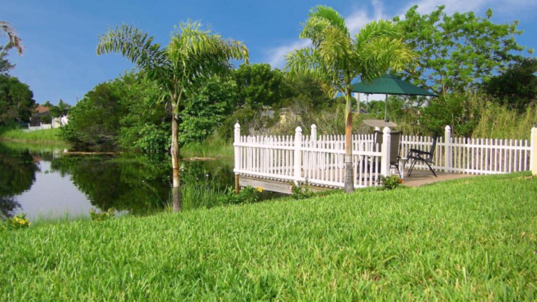 Photo of Others in Cape Coral