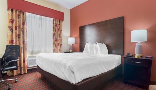 Standard Room, 1 King Bed, Accessible, Refrigerator & Microwave