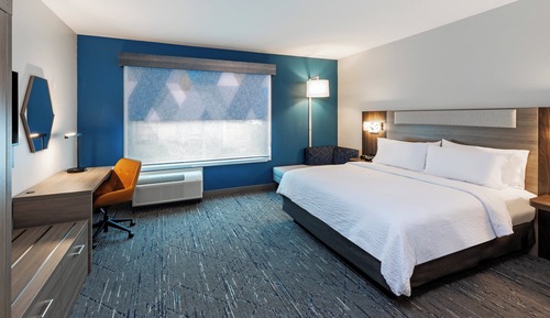 Standard Room, 1 King Bed, Accessible (Communications, Walk-In Shower)