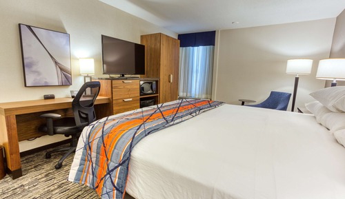 Room, 1 King Bed, Accessible (Tub)