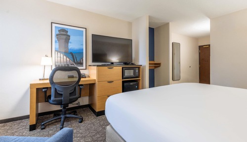 Room, 1 King Bed, Accessible (Roll in Shower)
