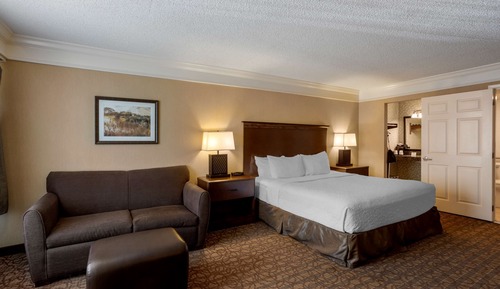 Standard Room, 1 King Bed with Sofa bed, Accessible, Non Smoking (with Sofabed)