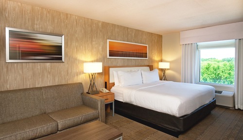 Standard Room, 1 King Bed with Sofa bed