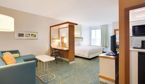 Suite, 1 King Bed with Sofa bed